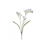 7-009FR CREAM